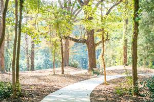 Dinius Park Walking Trail