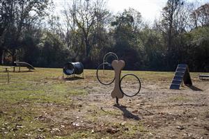 Kiesel Park - Dog Agility Area